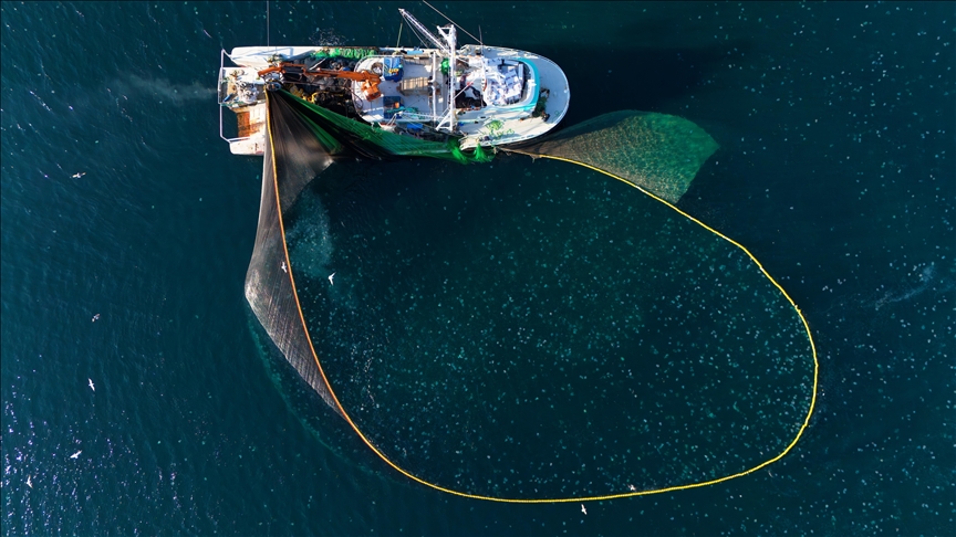 Ticari Ve Amatör Amaçlı Su Ürünleri Avcılığında Kurallar Yeniden Düzenlendi