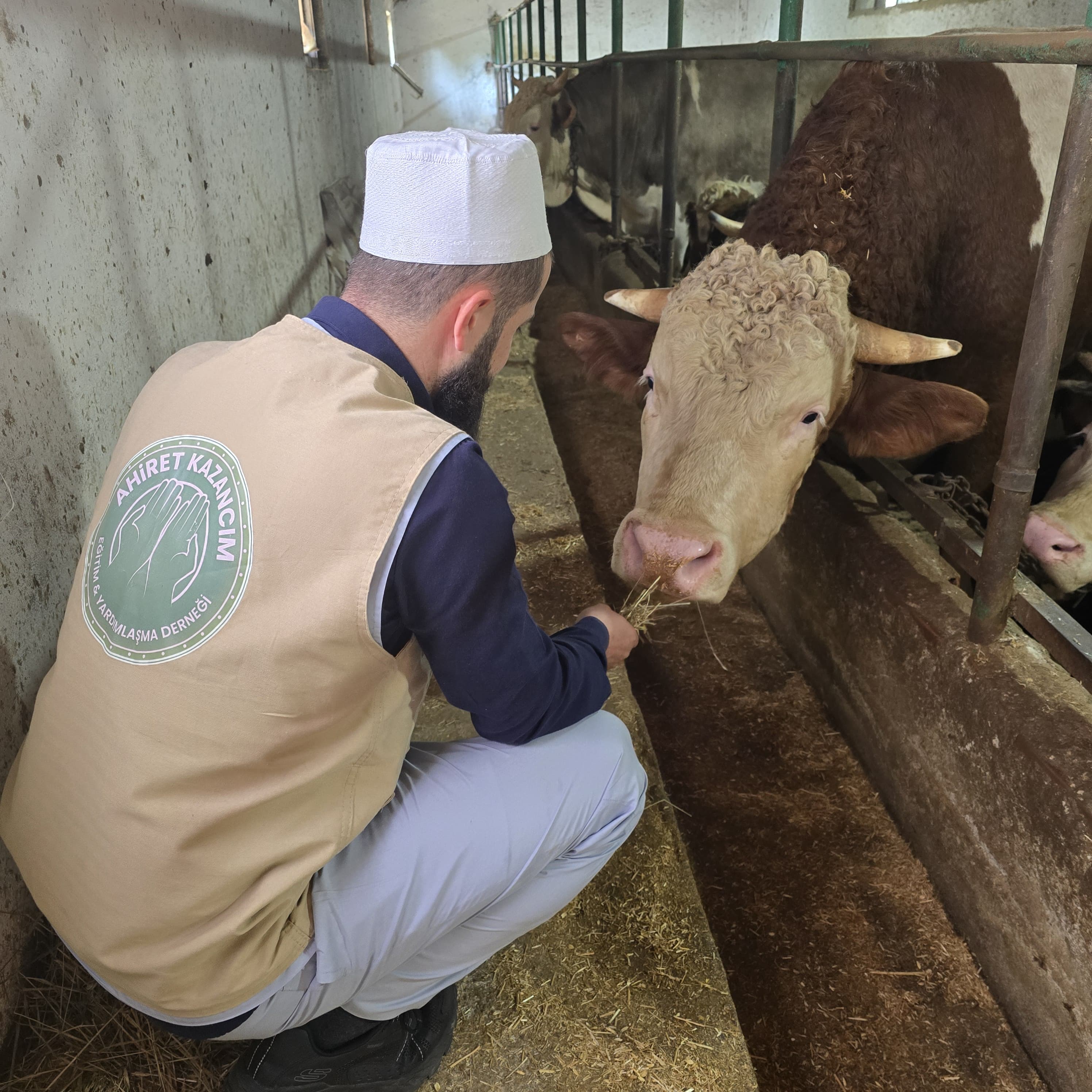 Whatsapp Görsel 2025 04 30 Saat 13.01.46 02B01B44