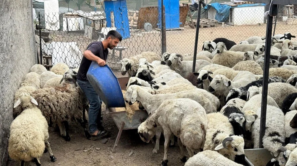 8Ntrp D W E Eu9 H Gt Fi O Cc A