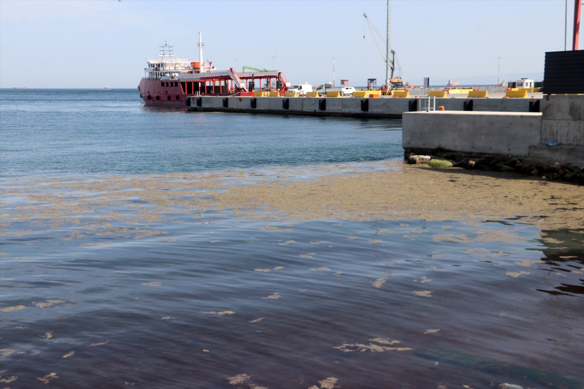 A A 20250507 37872154 37872149 T E K I R D A G K I Y I L A R I N D A A L G P A T L A M A S I N E D E N I Y L E D E N I Z R E N G I N D E D E G I S I M G O Z L E N D I