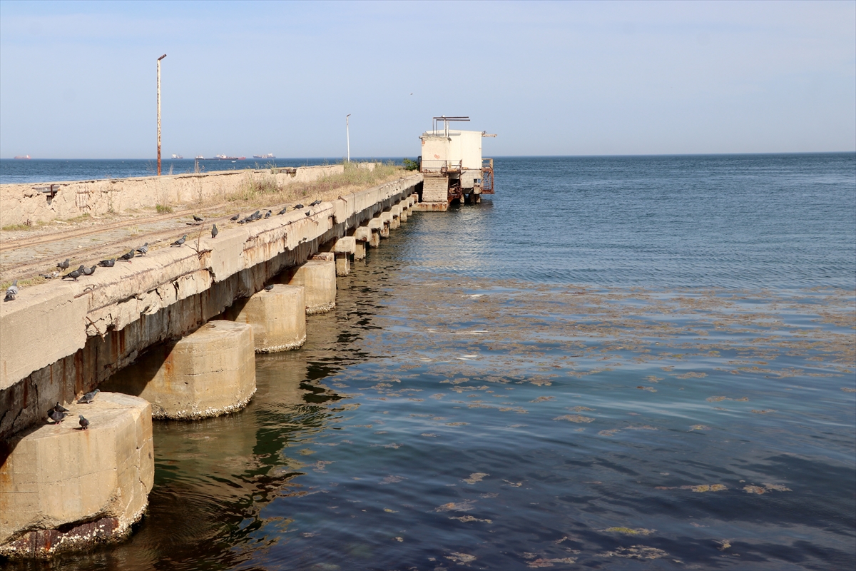 A A 20250507 37872154 37872150 T E K I R D A G K I Y I L A R I N D A A L G P A T L A M A S I N E D E N I Y L E D E N I Z R E N G I N D E D E G I S I M G O Z L E N D I