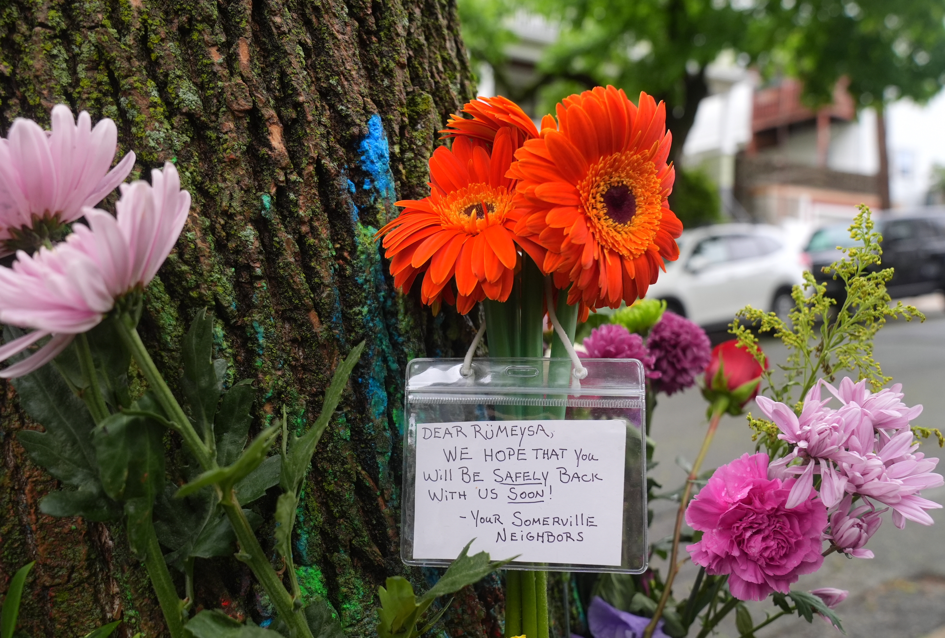 A A 20250510 37911170 37911165 A B D D E R U M E Y S A O Z T U R K U B E K L E Y E N K O M S U L A R I E V I N I N O N U N E C I C E K V E G E C M I S O L S U N M E S A J L A R I B I R A K T I