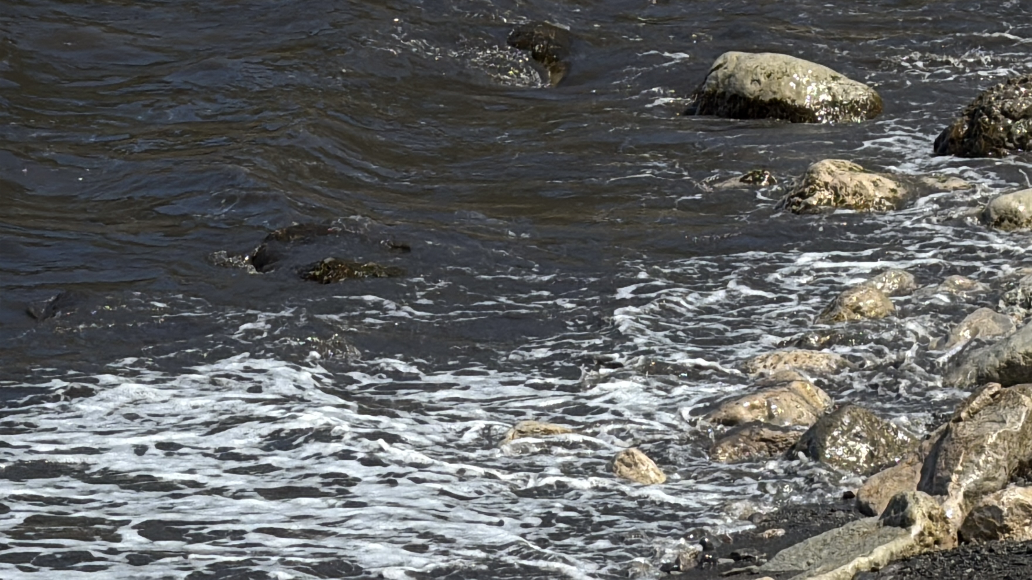 A M A S R A D A D E N I Z D E K I R L I L I K 743149 219416