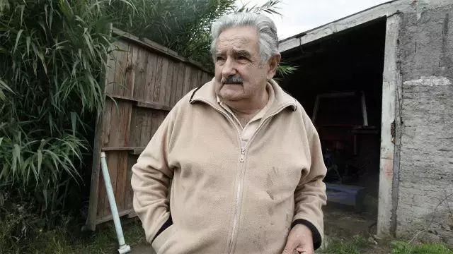 Ekrem13