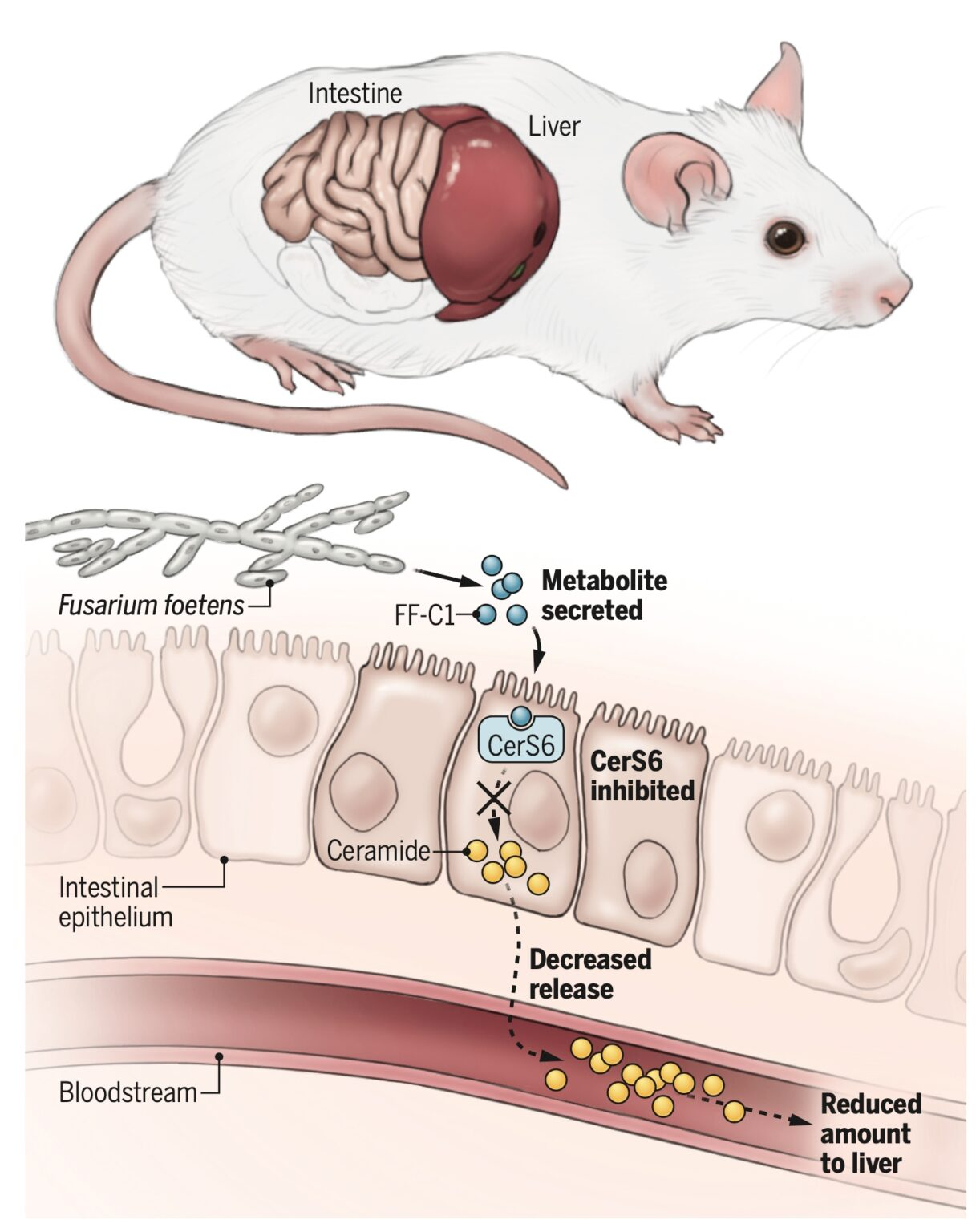 Resim 2025 05 02 112804184