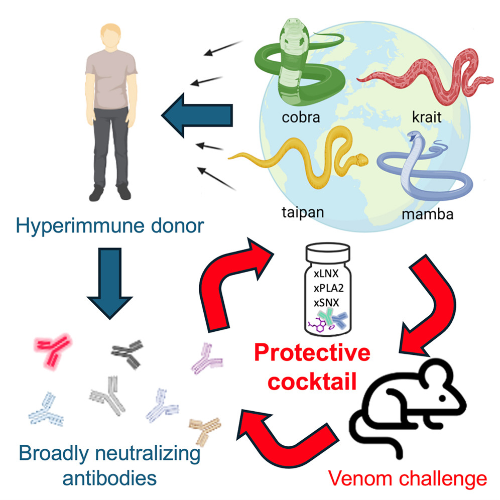 Resim 2025 05 03 103738972