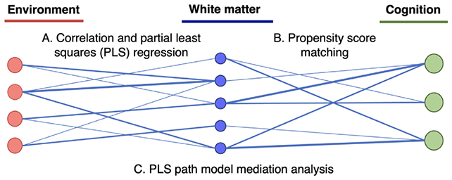 Resim 2025 05 04 103007111