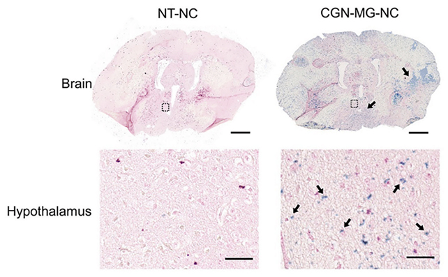 Resim 2025 05 04 121116081