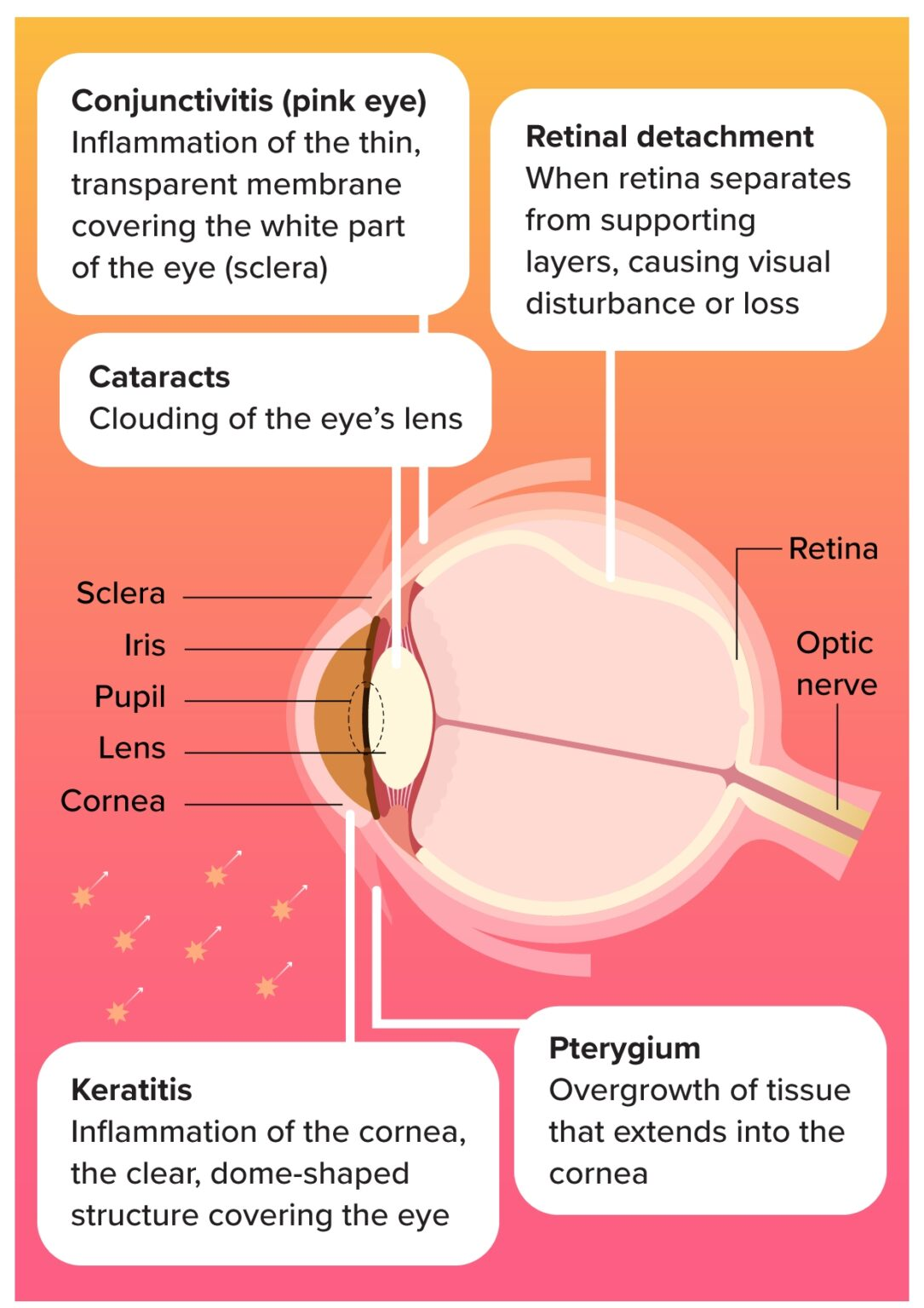 Resim 2025 05 05 105729610