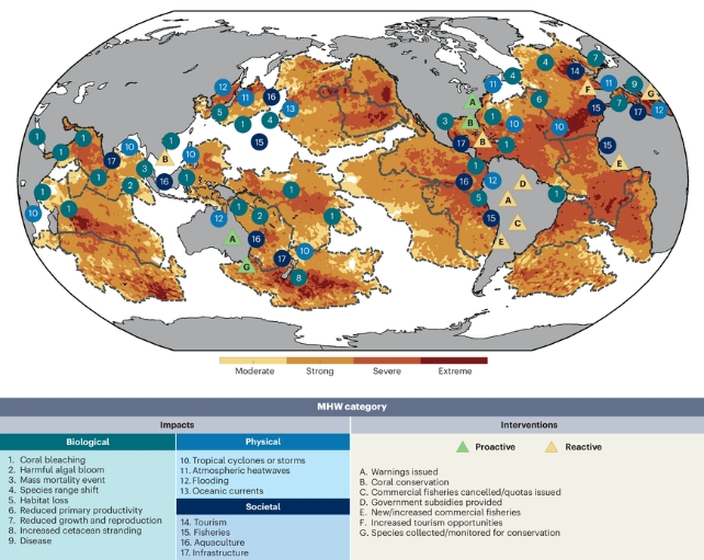 Resim 2025 05 06 112523350