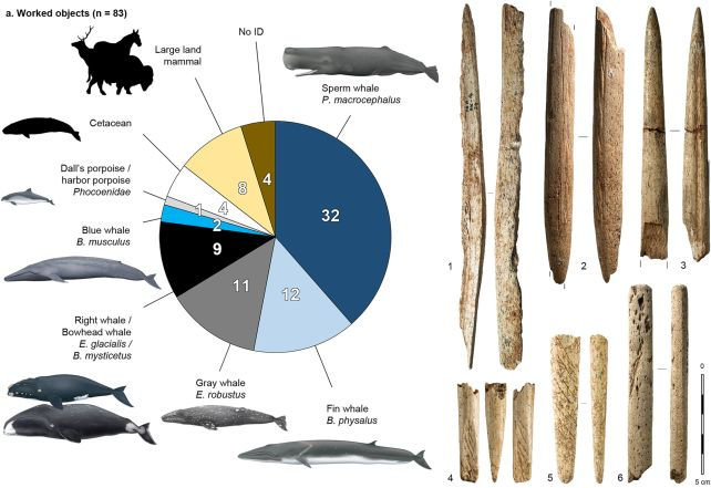 Resim 2025 05 28 114825384