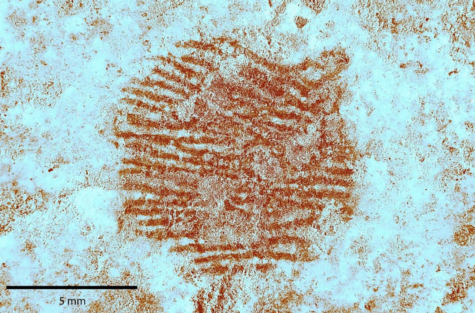 Resim 2025 05 30 123923218