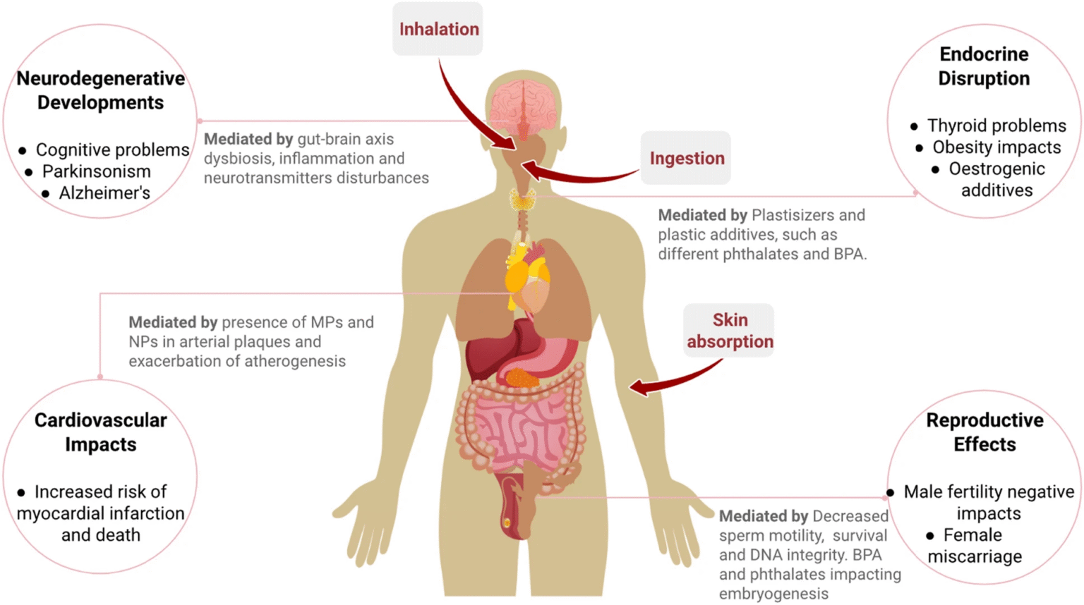 Resim 2025 05 31 104905434