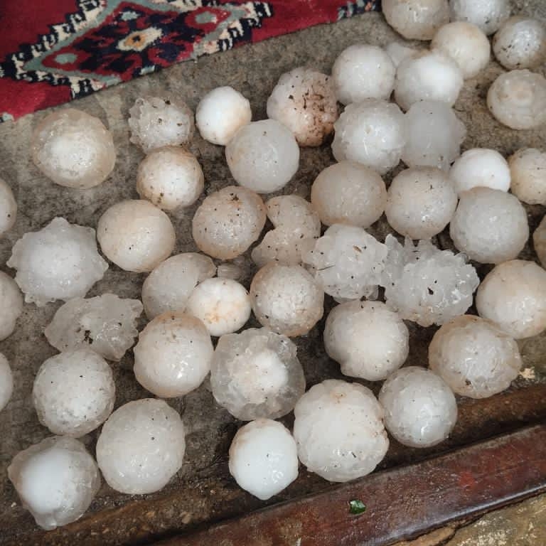 S A N L I U R F A D A D O L U T A R I M A R A Z I L E R I Z A R A R 692185 205038