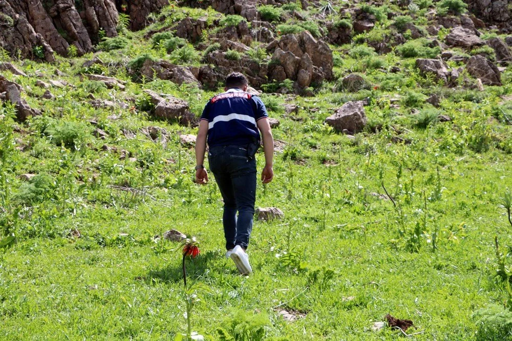 Ters Laleleri Jandarma Ekipleri Koruyor