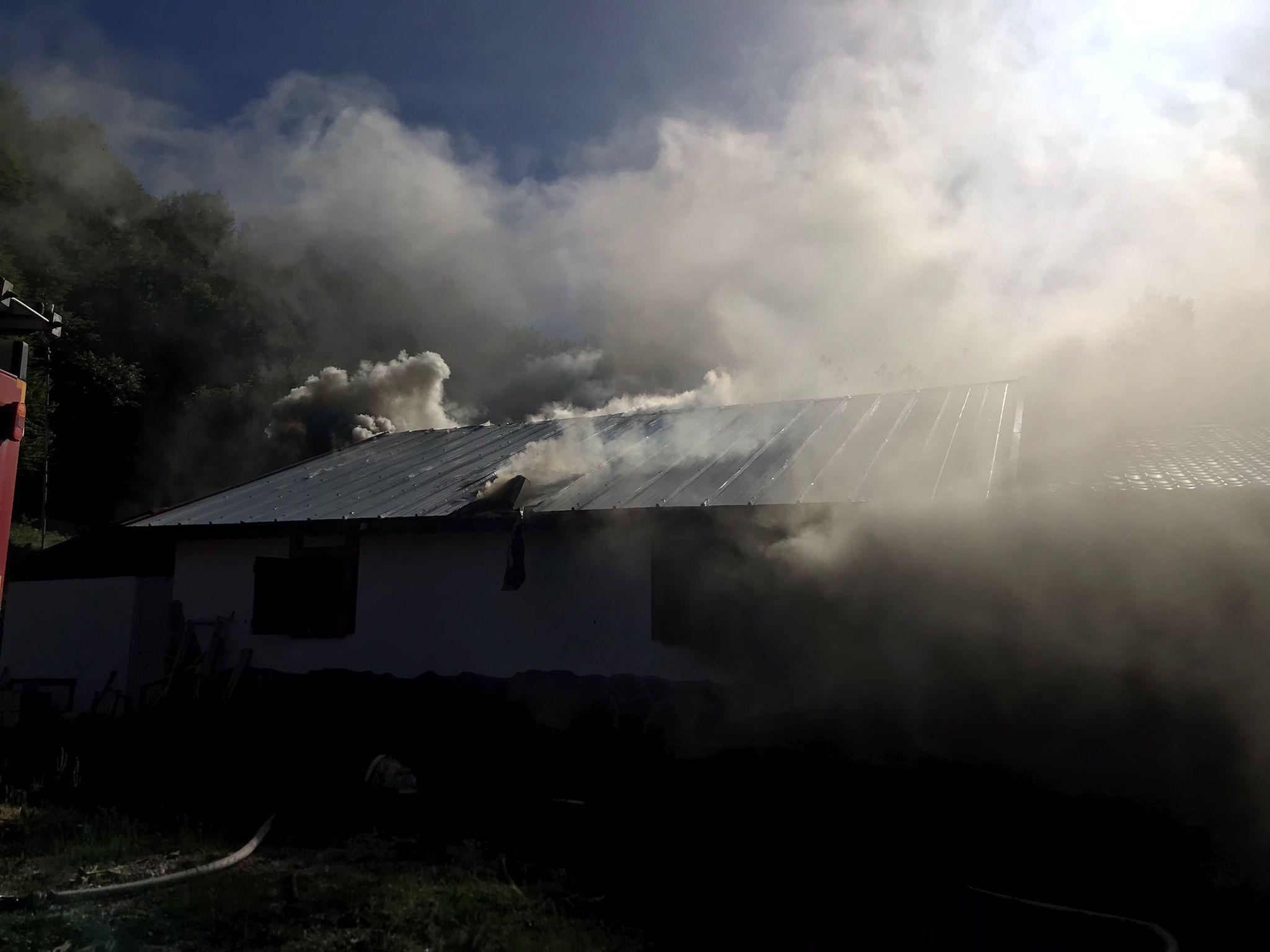 Y A Y L A E V I N D E C I K A N Y A N G I N D A 4 K I S I D U M A N 731030 215988