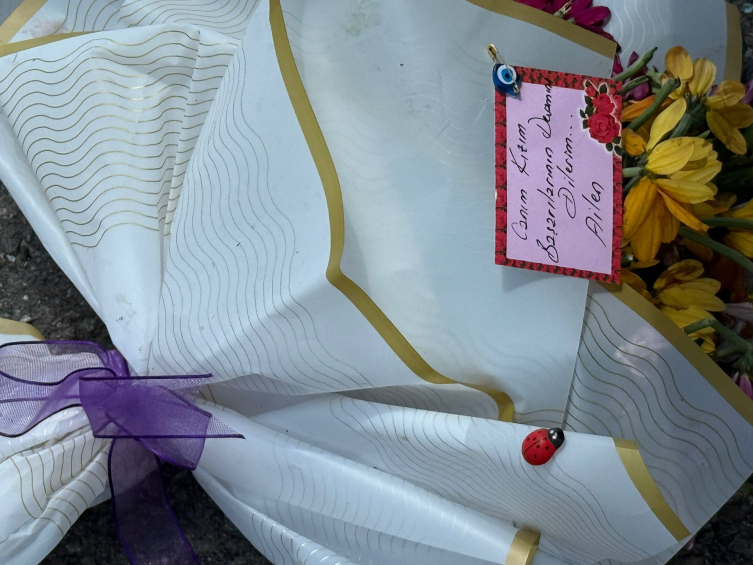 Aa Picture 20250618 38314840