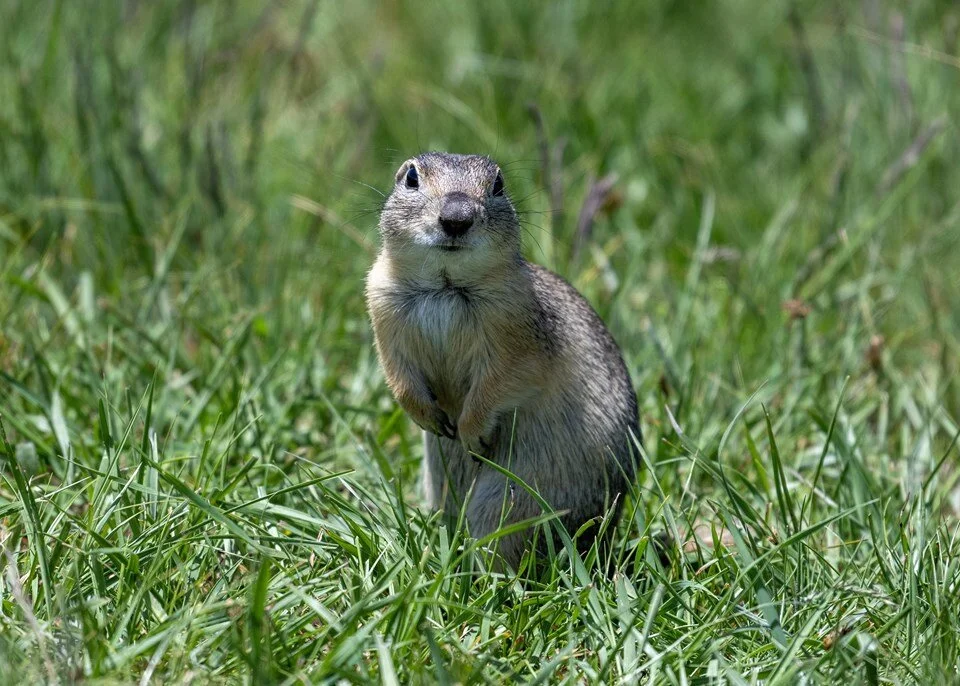 Ah L T9S I2Xk X M G M50 Ux Wg