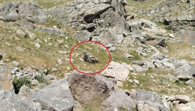 Batman Kaza