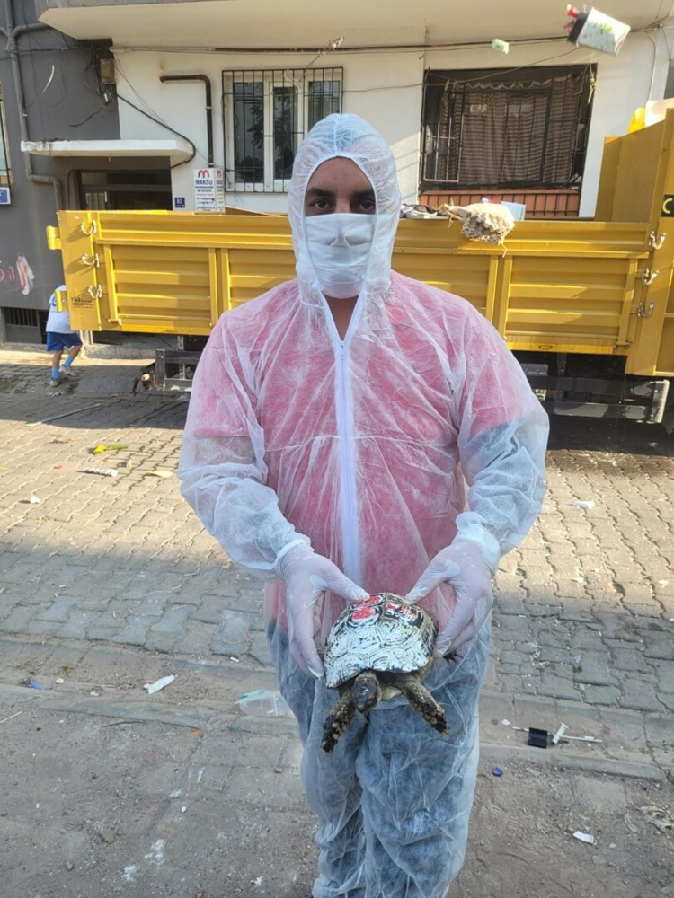 Çöp Evden 4 Kamyon Çöp, 12 Kedi Ile 3 Kaplumbağa Çıktı