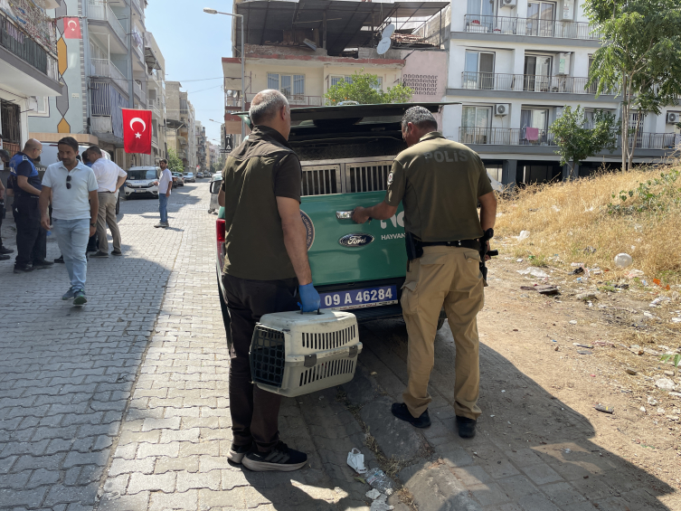 Çöp Evden 4 Kamyon Çöp, 12 Kedi Ile 3 Kaplumbağa Çıktı2