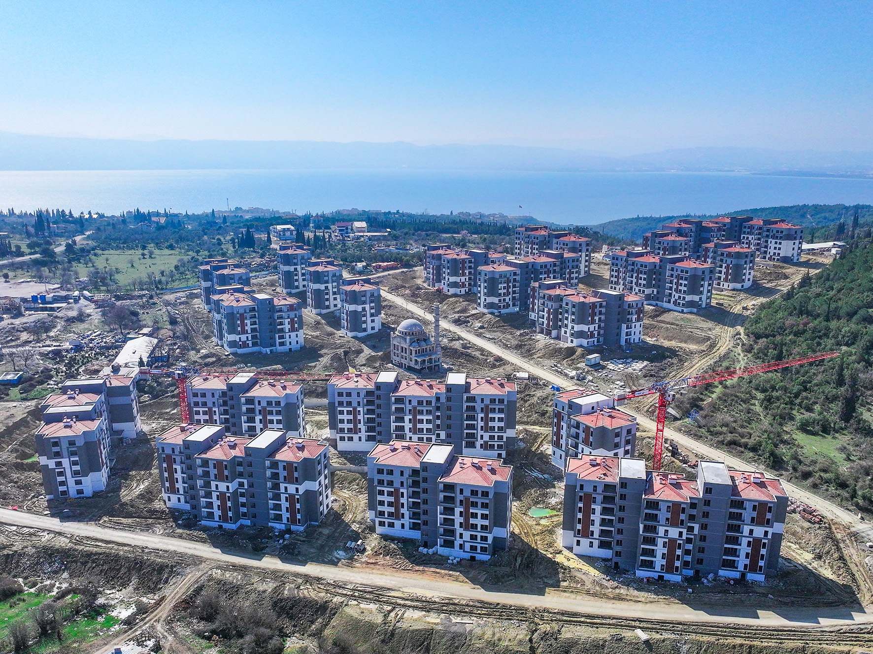 D J I 20250305113555 0048 D