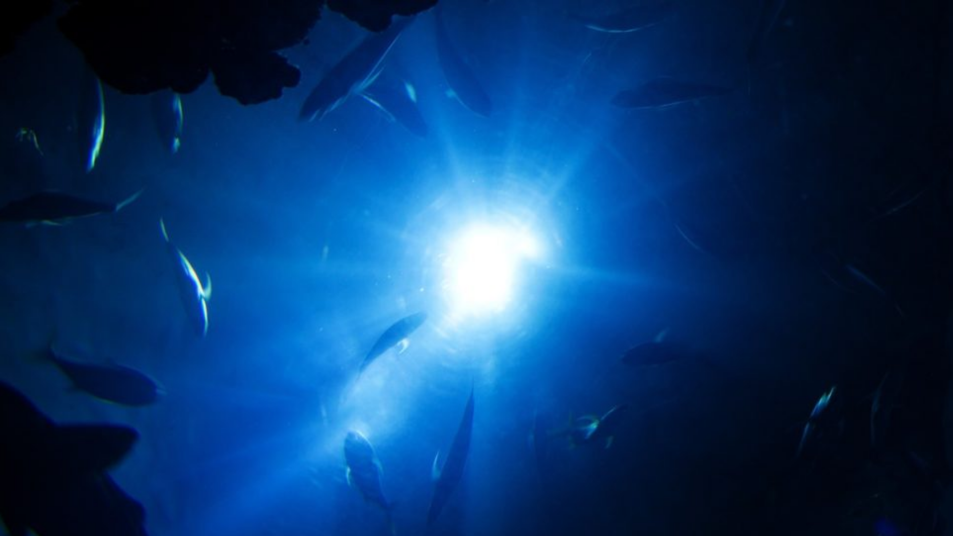 Earth's Oceans