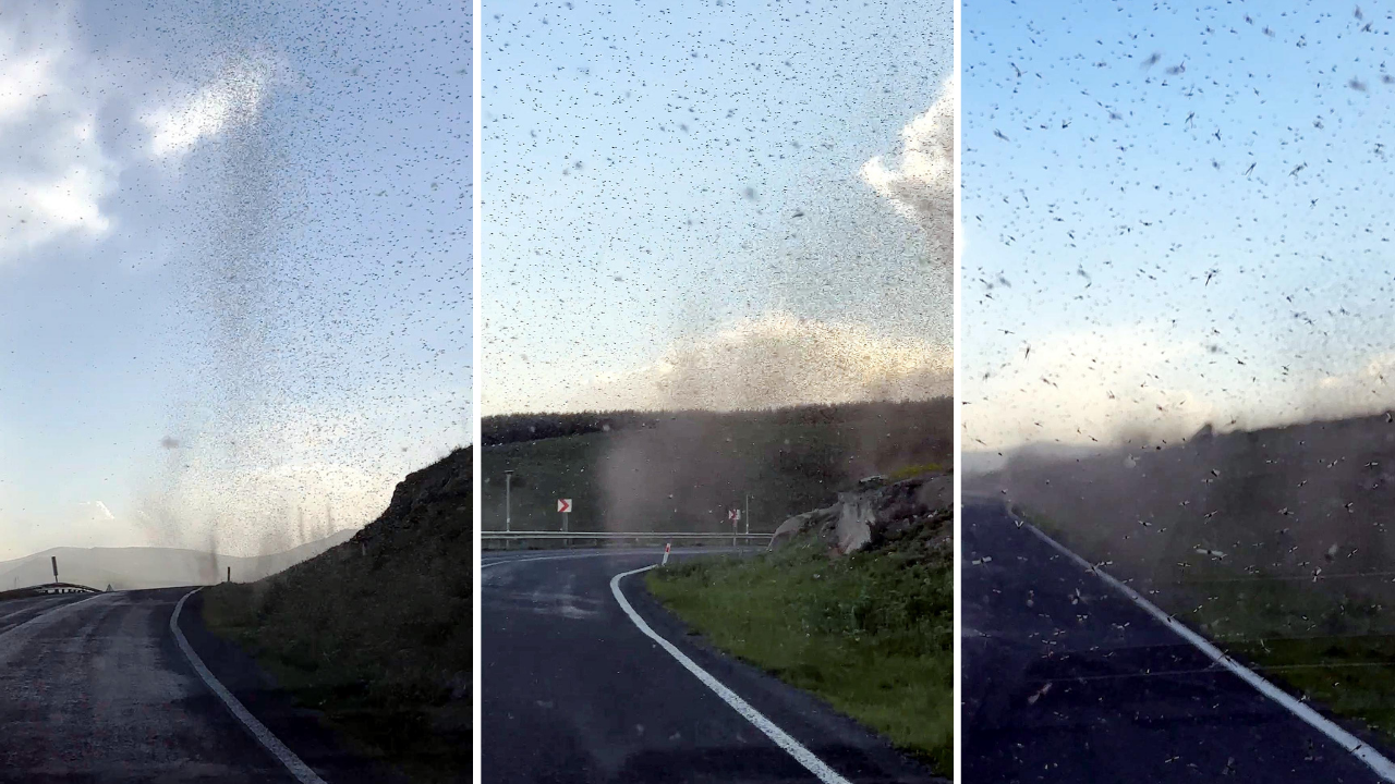 Ekonomi̇st 2025 06 03T094522.371