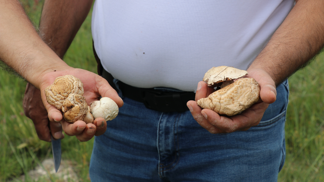 Ekonomi̇st 2025 06 11T125008.828