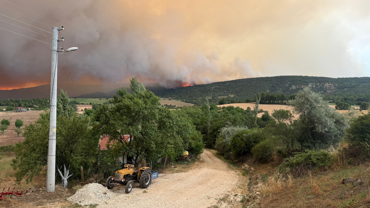 Ekonomi̇st 2025 06 28T110418.555