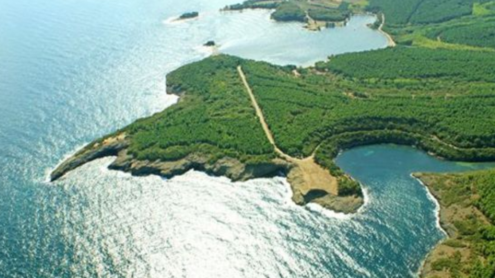 Hamsilos