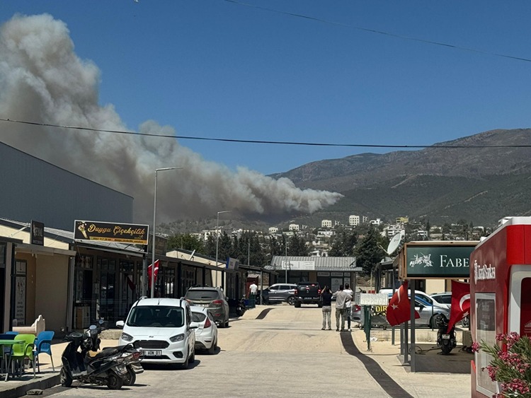 Hatay'da Ormanlık Alanda Yangın Çıktı Aa 1