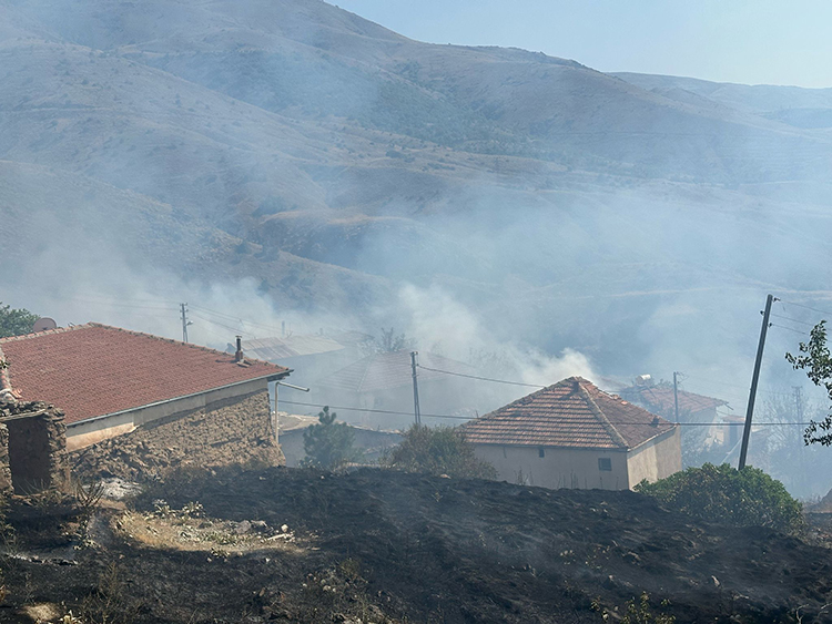 Malatya'da Otluk Alanda Çıkan Yangın Evlere Sıçradı Aa-1