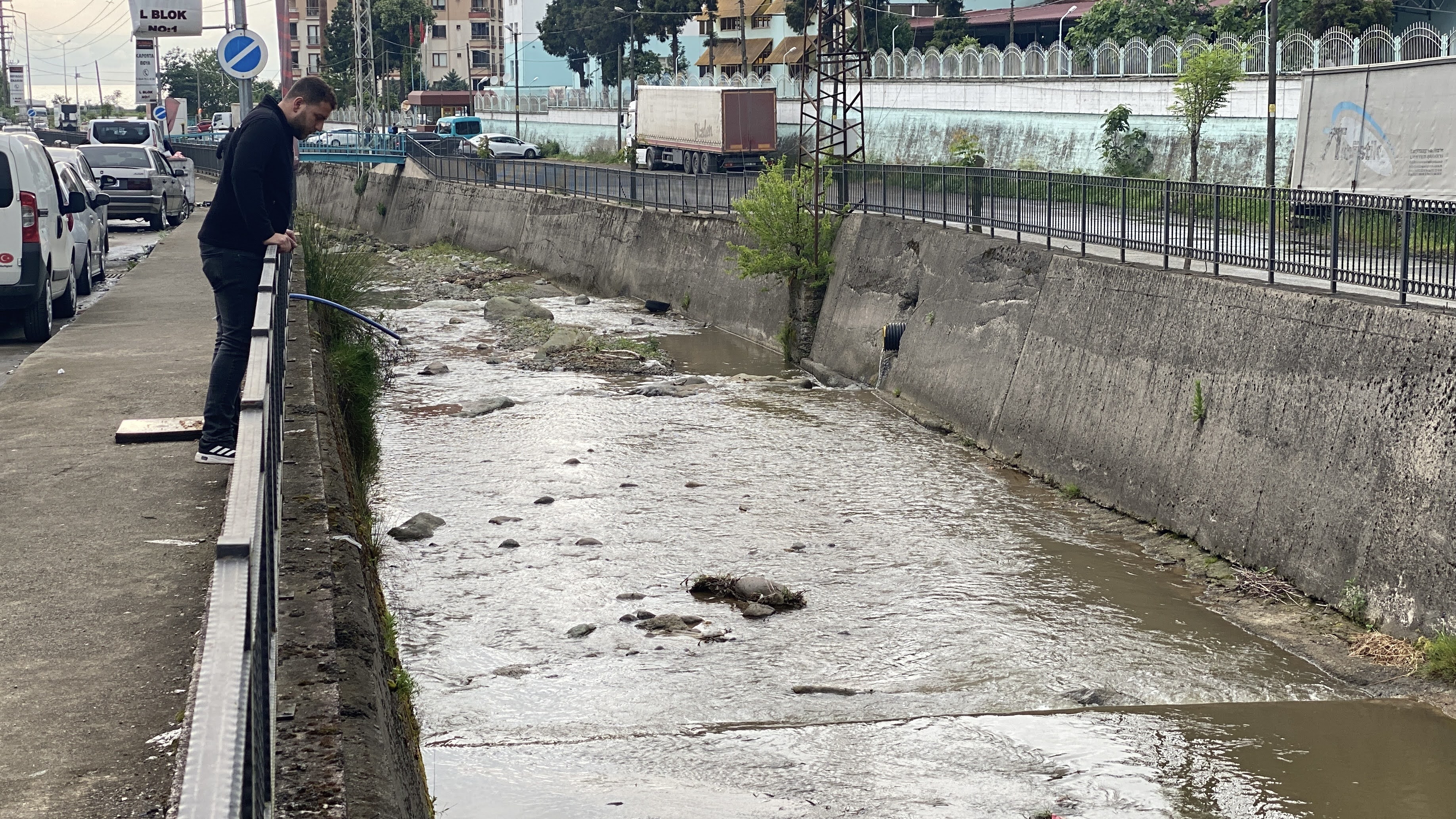 R I Z E’ D E D E R E D E B A L I K O L U M L E R I N E I N C E L E M E 742909 219344