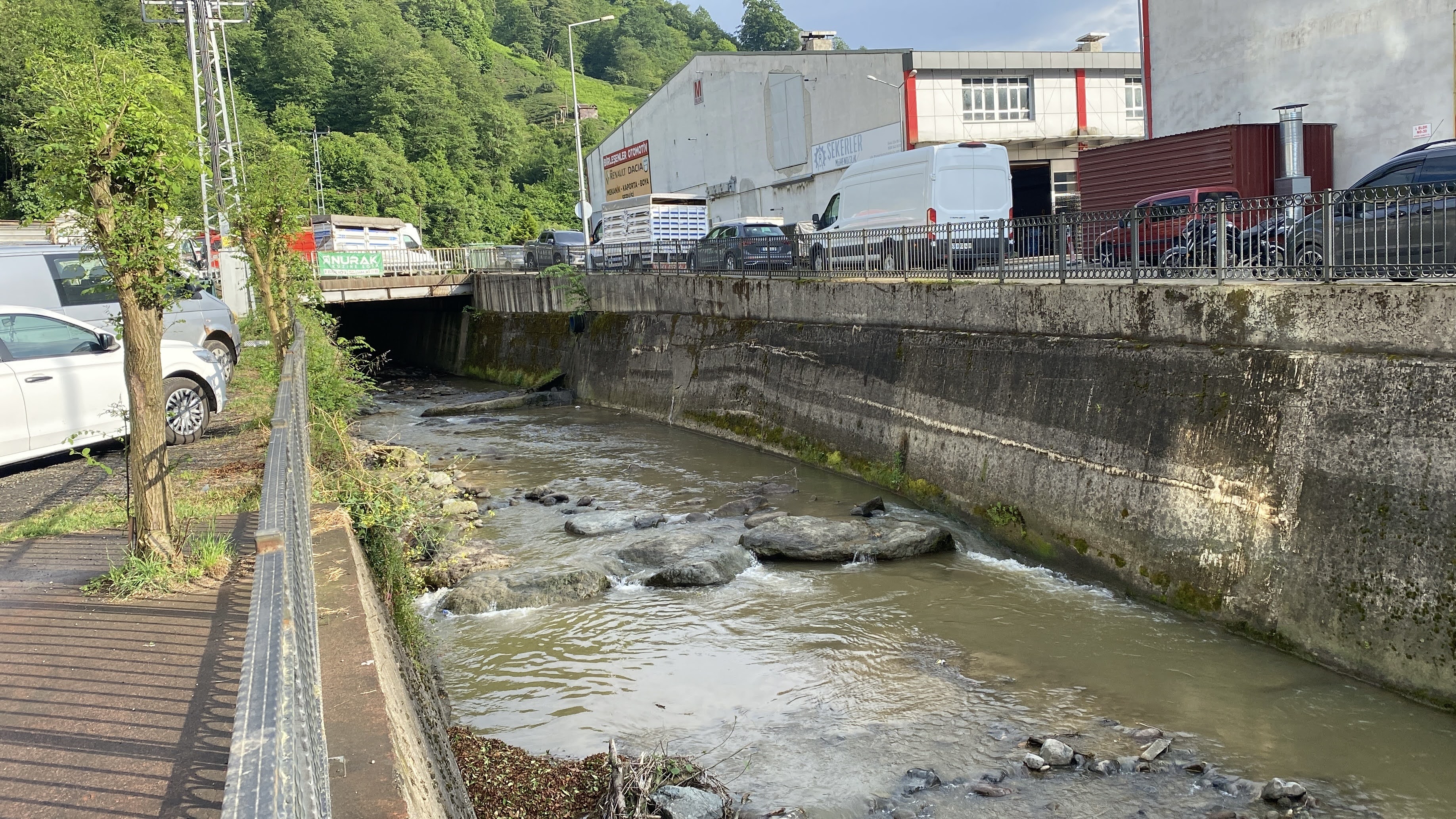 R I Z E’ D E D E R E D E B A L I K O L U M L E R I N E I N C E L E M E 742912 219344