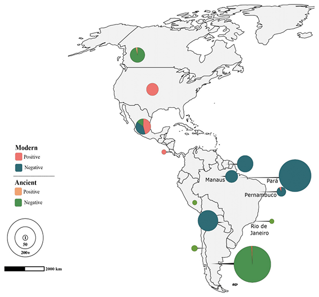 Resim 2025 06 03 111725209