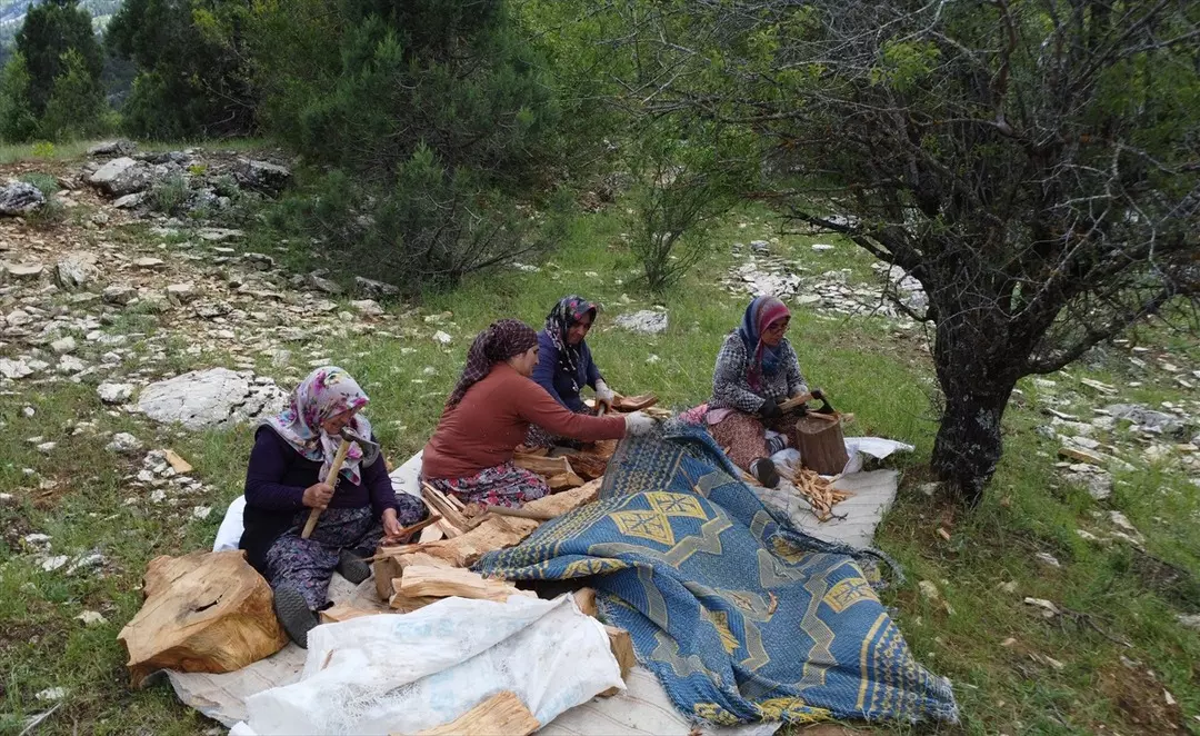 Resim 2025 06 08 102054010