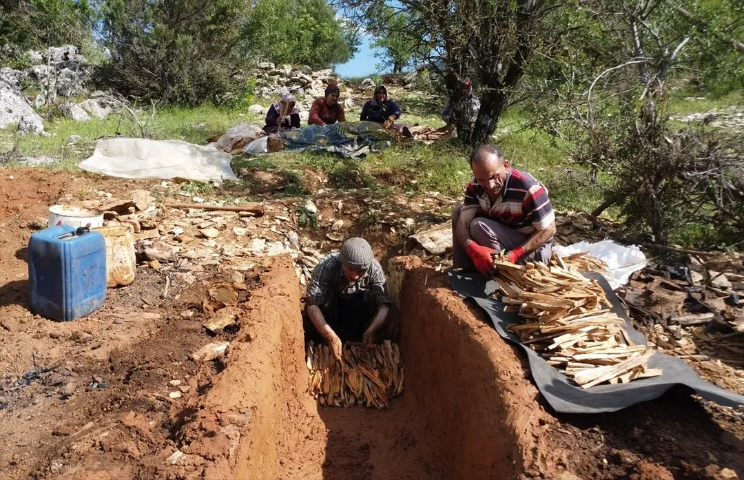 Resim 2025 06 08 102132537