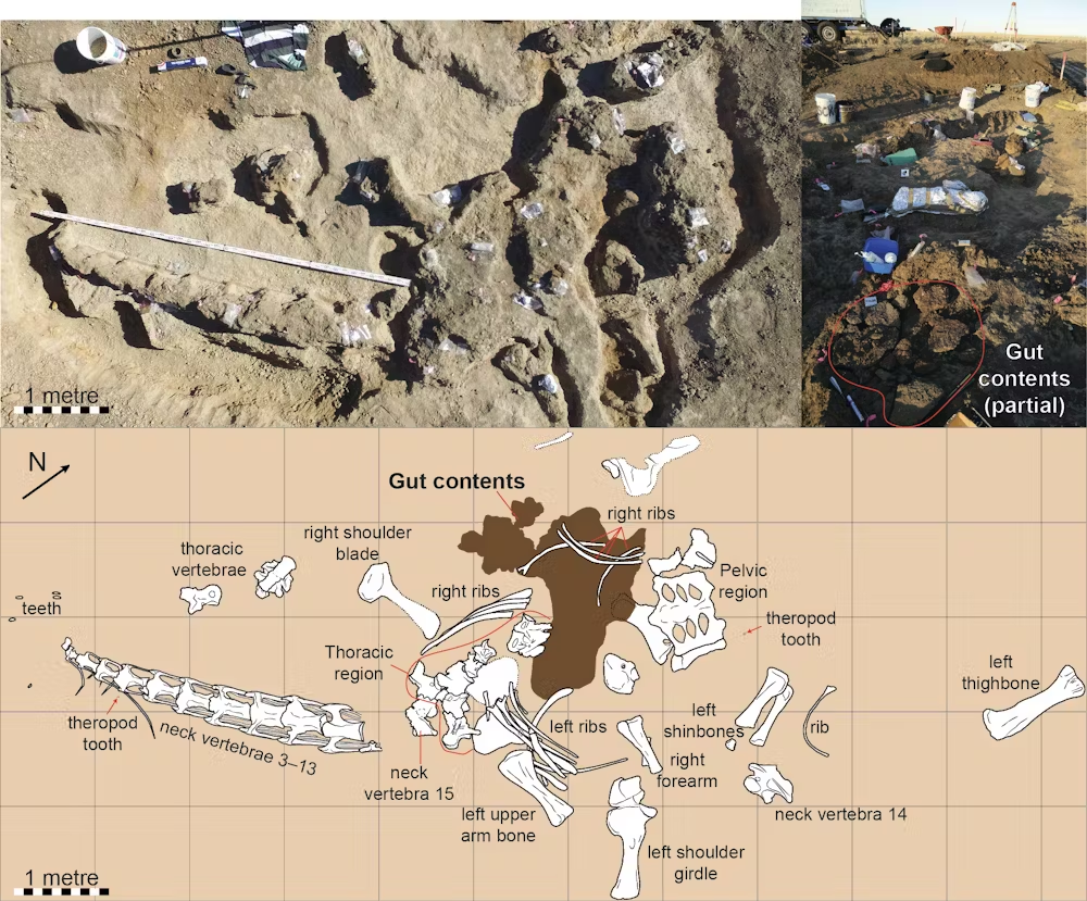 Resim 2025 06 10 104356831