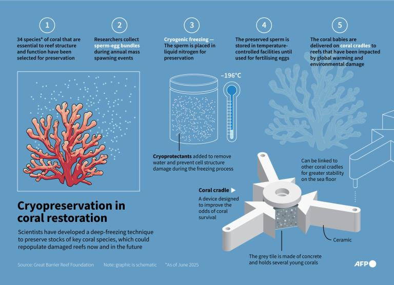 Resim 2025 06 10 120553635