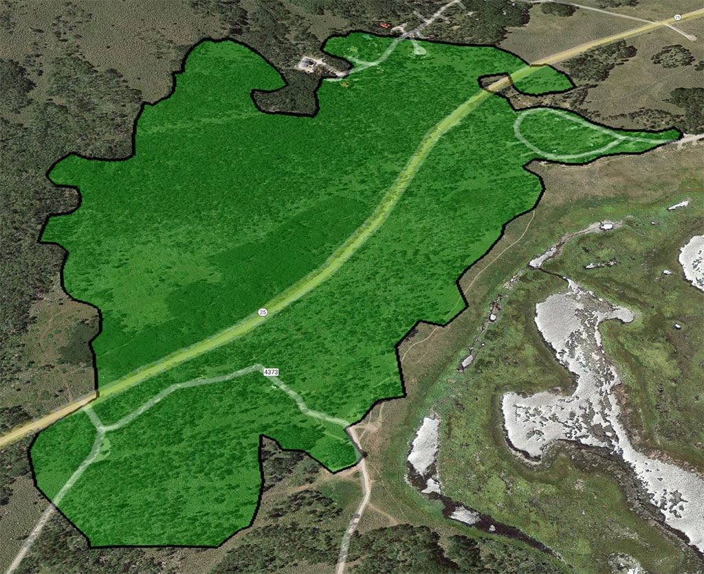 Resim 2025 06 11 102256365