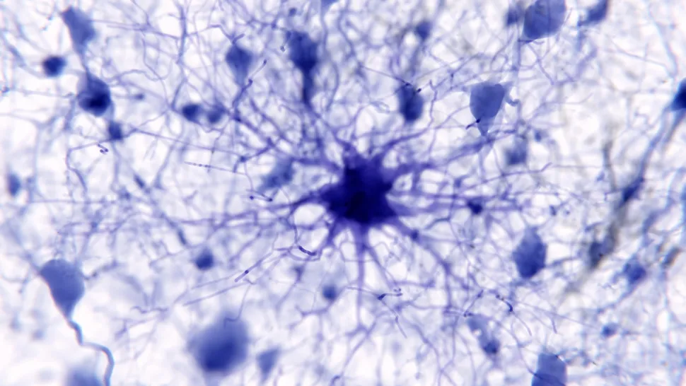 Resim 2025 06 11 124253964