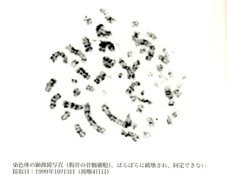Resim 2025 06 22 112138588