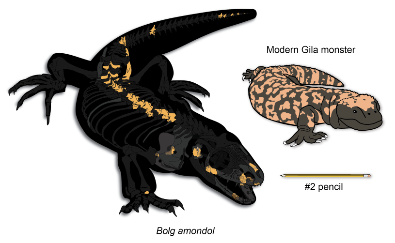 Resim 2025 06 29 103602120