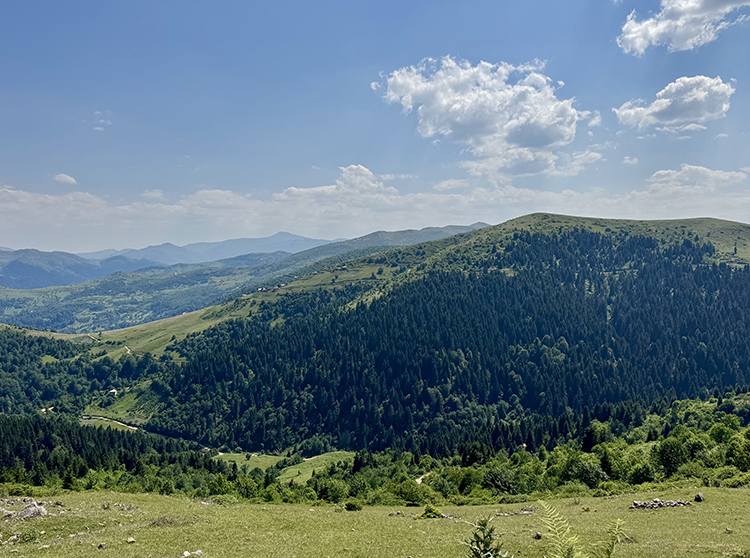 007 2025 06 Temmuz 16 Temmuz 10 20250719 2 70011626 115252486