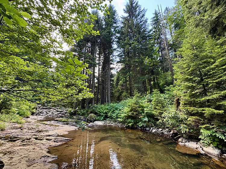 007 2025 06 Temmuz 16 Temmuz 11 20250719 2 70011626 115252478