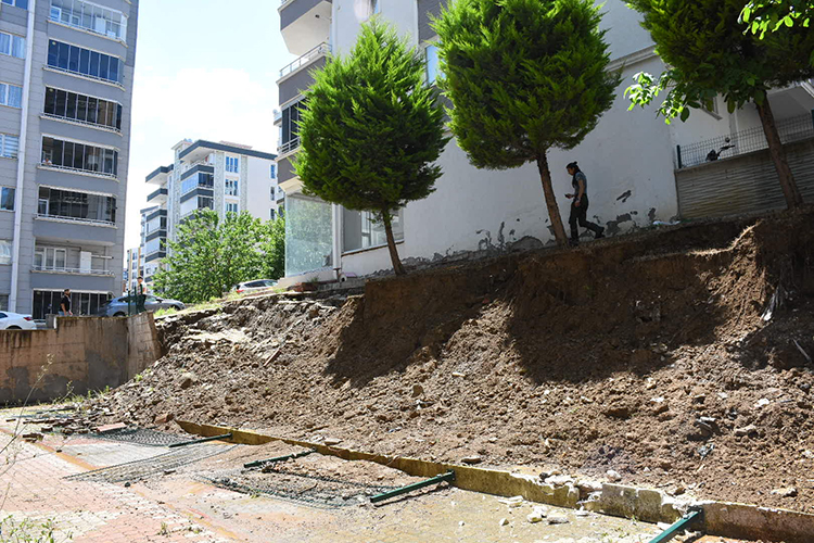 2025 07 20250704 2 69805269 114766532