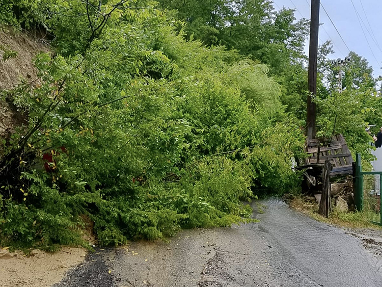 2025 07 20250704 2 69805933 114767241