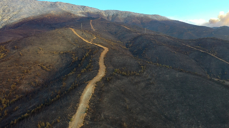 2025 15 20250701 2 69751740 114640631