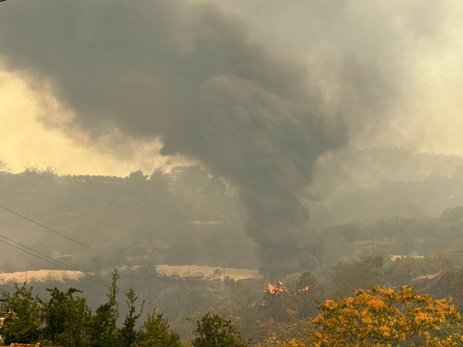 A A 20250630 38428526 38428518 H A T A Y D A O R M A N L I K A L A N D A Y A N G I N C I K T I